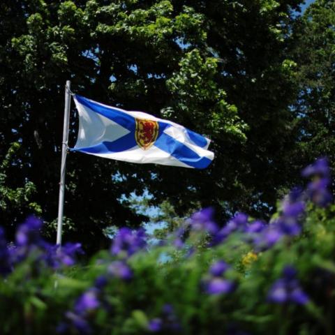 Nova Scotia Flag on property lawn